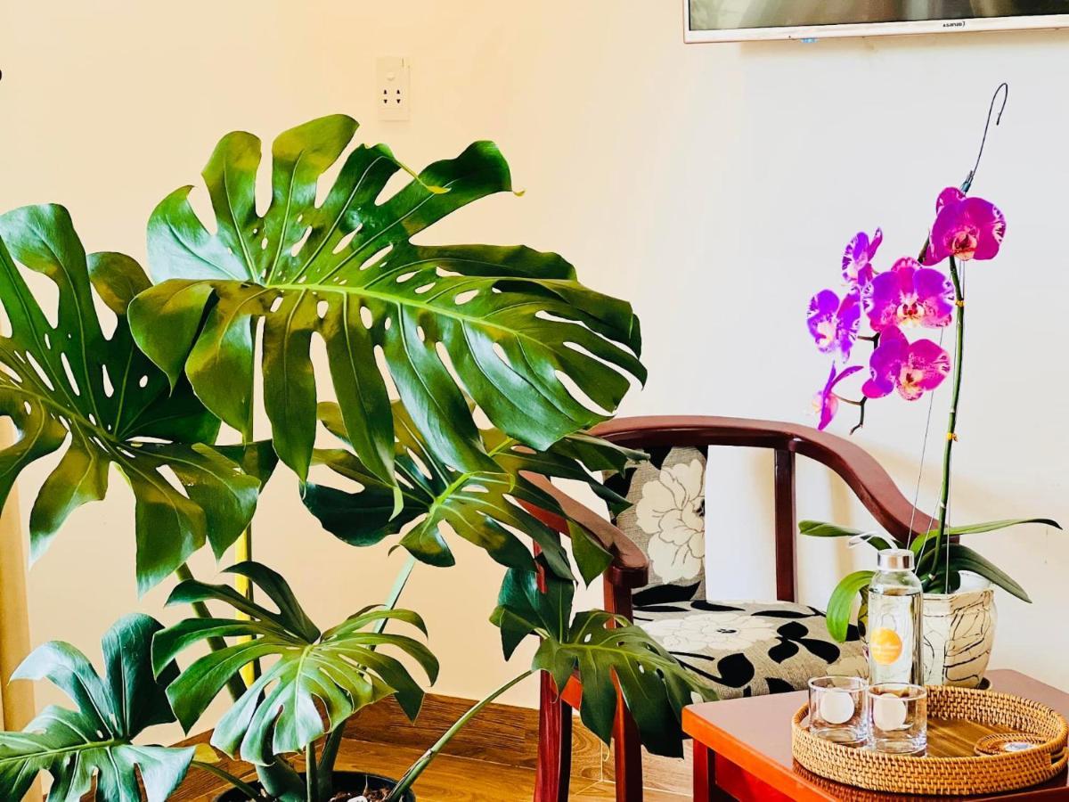 Thuy House Hoi An Apartment Exterior photo